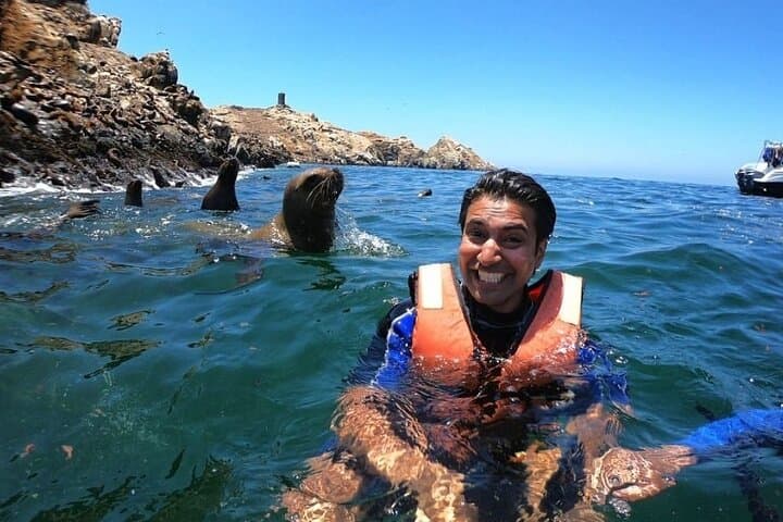 Lim-10 : Swimming with Sea Lions in Islas Palomino Lima