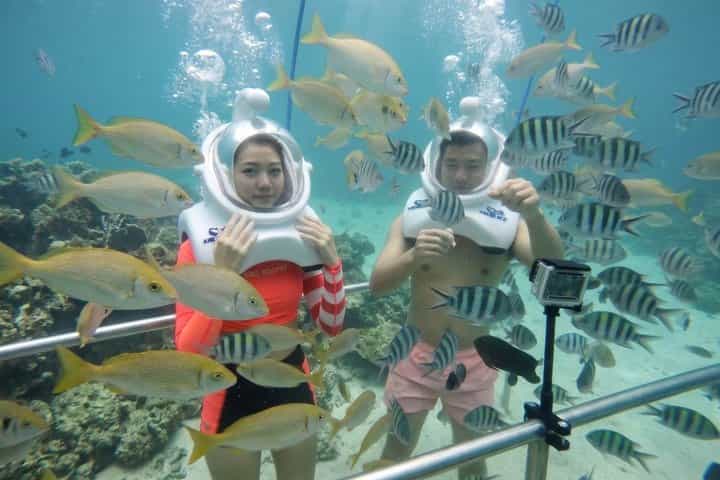 Cham Island Sea Trek and Snorkeling by Speedboat