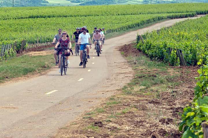 1 Day E-Bike and wine tour in Cote de Nuits from Dijon 1 Day E-Bike and wine tour in Cote de Nuits from Dijon