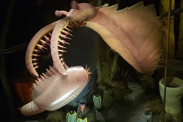 1 Day Guided Drumheller Tour — Family-Friendly Dinosaur & Badlands Adventure 1 Day Guided Drumheller Tour — Family-Friendly Dinosaur & Badlands Adventure