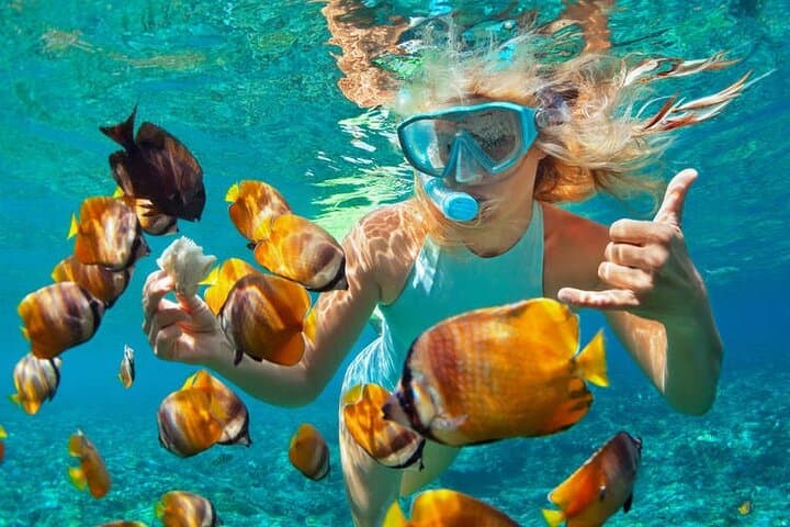 Montego Bay in 1 Day for Friends - Private 1-hour guided snorkeling over Montego Bay reef Montego Bay in 1 Day for Friends - Private 1-hour guided snorkeling over Montego Bay reef