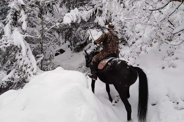 1 Hour Waterfalls Canyon Private Horse Riding in Smolyan 1 Hour Waterfalls Canyon Private Horse Riding in Smolyan