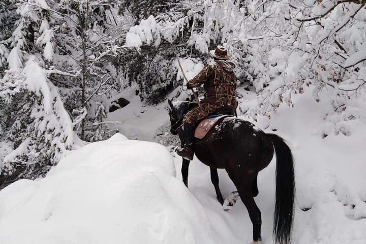 1 Hour Waterfalls Canyon Private Horse Riding in Smolyan 1 Hour Waterfalls Canyon Private Horse Riding in Smolyan