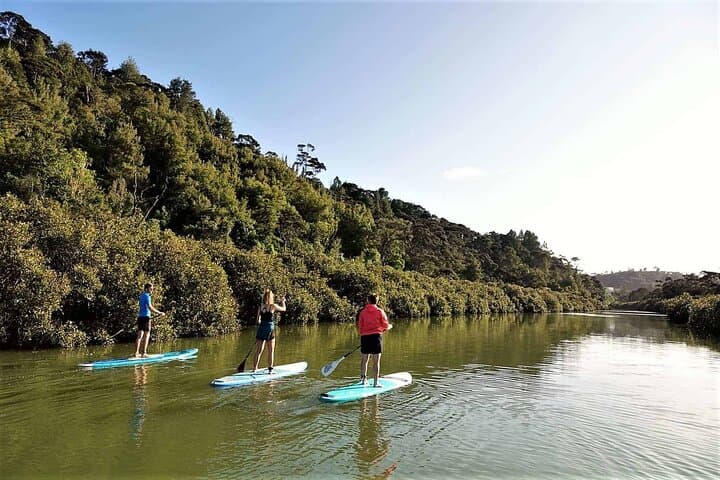 2-Hour Stand-Up Paddle Boarding Tour to Lucas Creek Waterfall (Friends) 2-Hour Stand-Up Paddle Boarding Tour to Lucas Creek Waterfall (Friends)