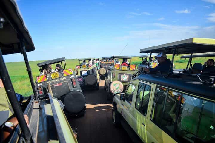 3 Days Masai Mara private mid luxury safari 3 Days Masai Mara private mid luxury safari