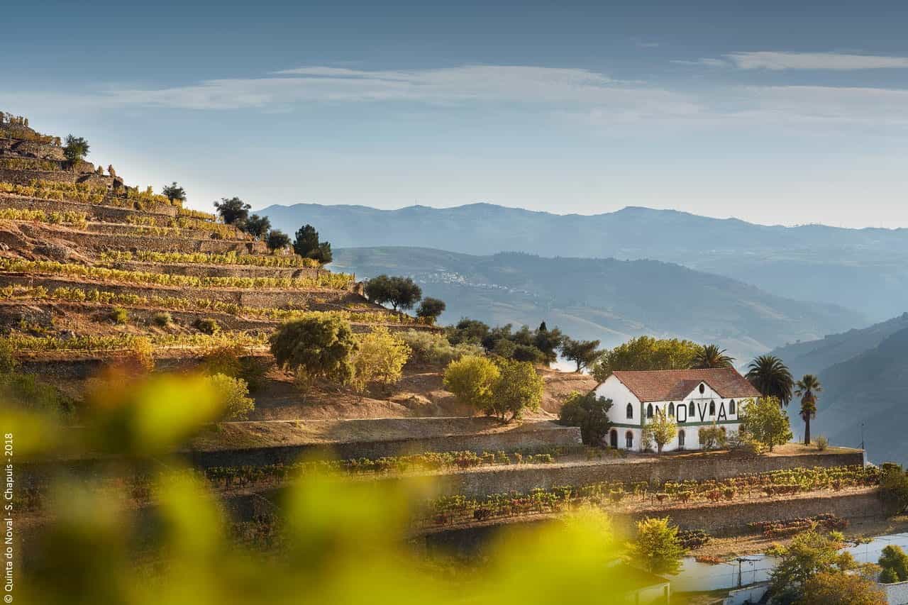 4×4 Douro Wine Tasting Tour — Private Couples Edition 4×4 Douro Wine Tasting Tour — Private Couples Edition