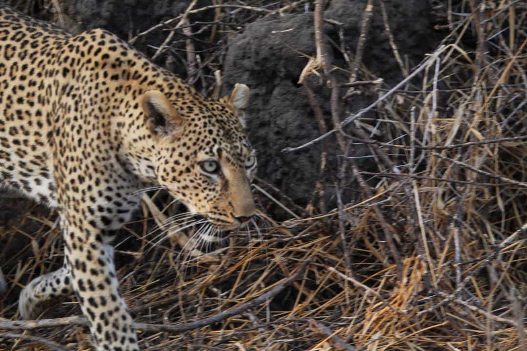 Arusha in 6 Days - Arusha city tour: Cultural Heritage Centre & local markets Arusha in 6 Days - Arusha city tour: Cultural Heritage Centre & local markets