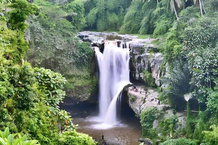6 Hour Private Tour in Ubud 6 Hour Private Tour in Ubud