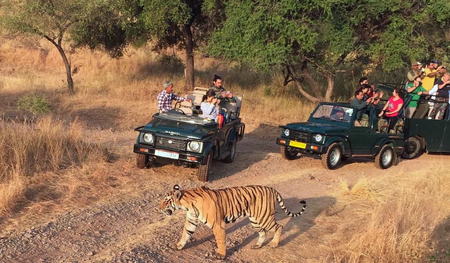 7-Days Golden Triangle with Ranthambore Tour 7-Days Golden Triangle with Ranthambore Tour