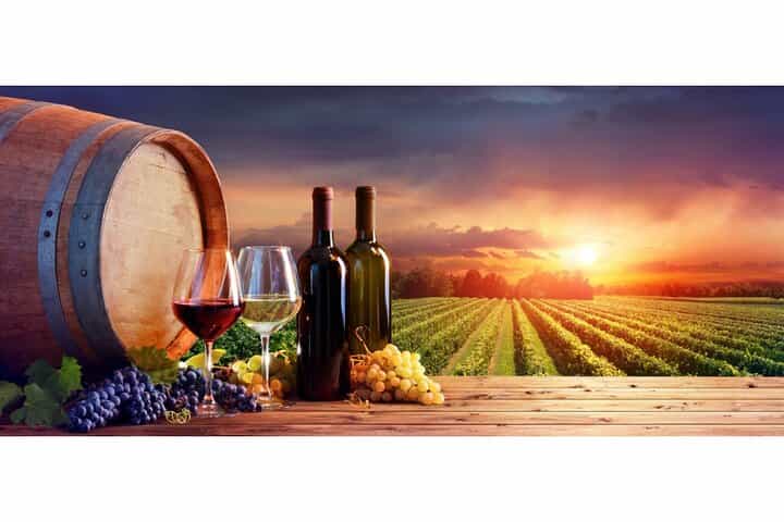 Chianti Wine Tour from Florence to San Gimignano with 2 Wineries (Private, Couples) Chianti Wine Tour from Florence to San Gimignano with 2 Wineries (Private, Couples)