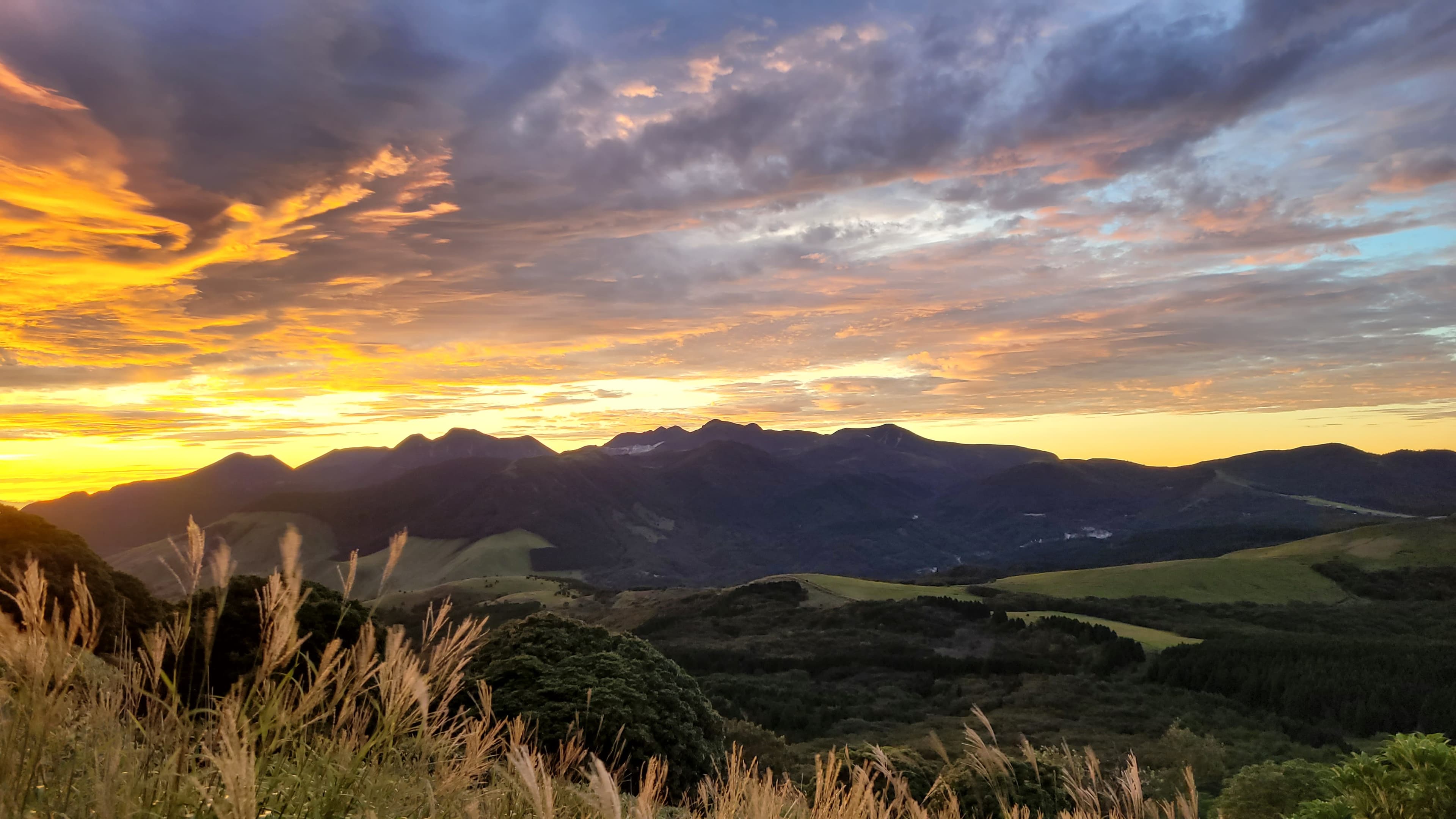 Discover Kyushu Like a Local – Tailored Just for You Discover Kyushu Like a Local – Tailored Just for You