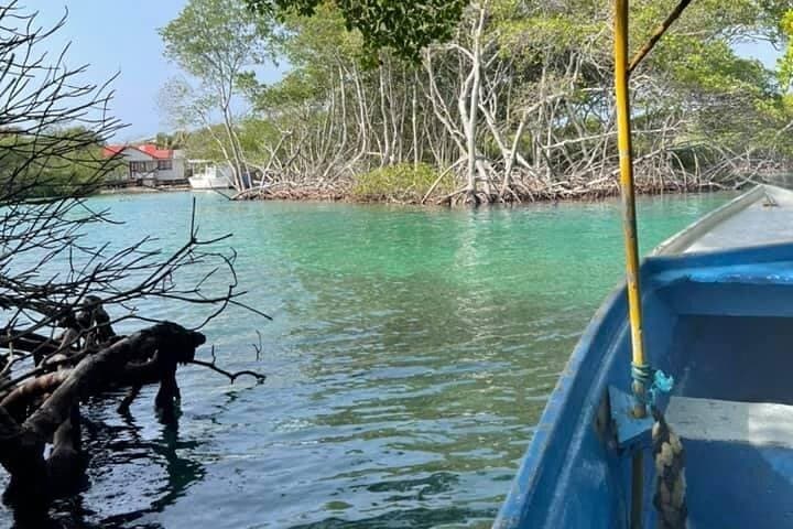 East Side Mangrove Tunnel with Garifuna Village Lunch and Drink East Side Mangrove Tunnel with Garifuna Village Lunch and Drink