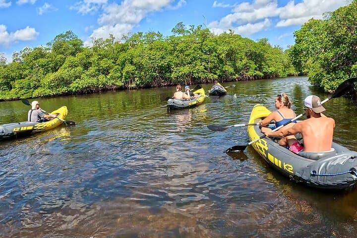 Fort Lauderdale: Kayak & Paddleboard Mangroves — Family Eco Adventure (Dania Beach) Fort Lauderdale: Kayak & Paddleboard Mangroves — Family Eco Adventure (Dania Beach)