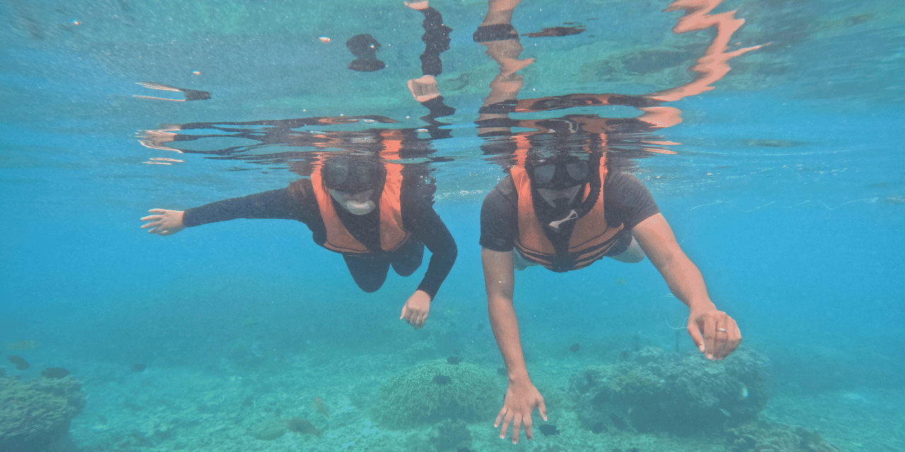 Cebu City in 1 Day for Friends - Swim/snorkel with whale sharks in Oslob Cebu City in 1 Day for Friends - Swim/snorkel with whale sharks in Oslob