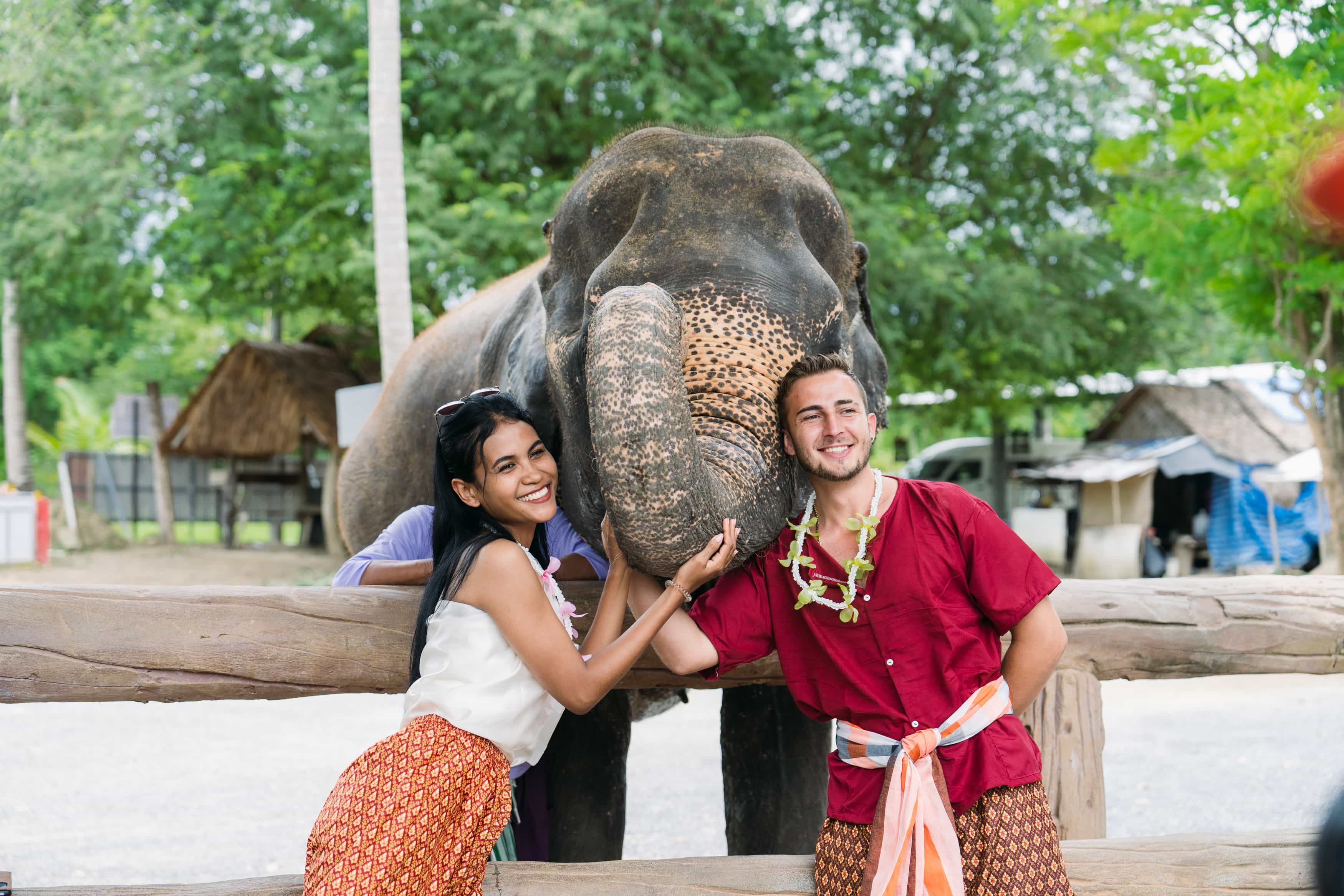 Half-Day Guided Elephant Educational Tour Half-Day Guided Elephant Educational Tour