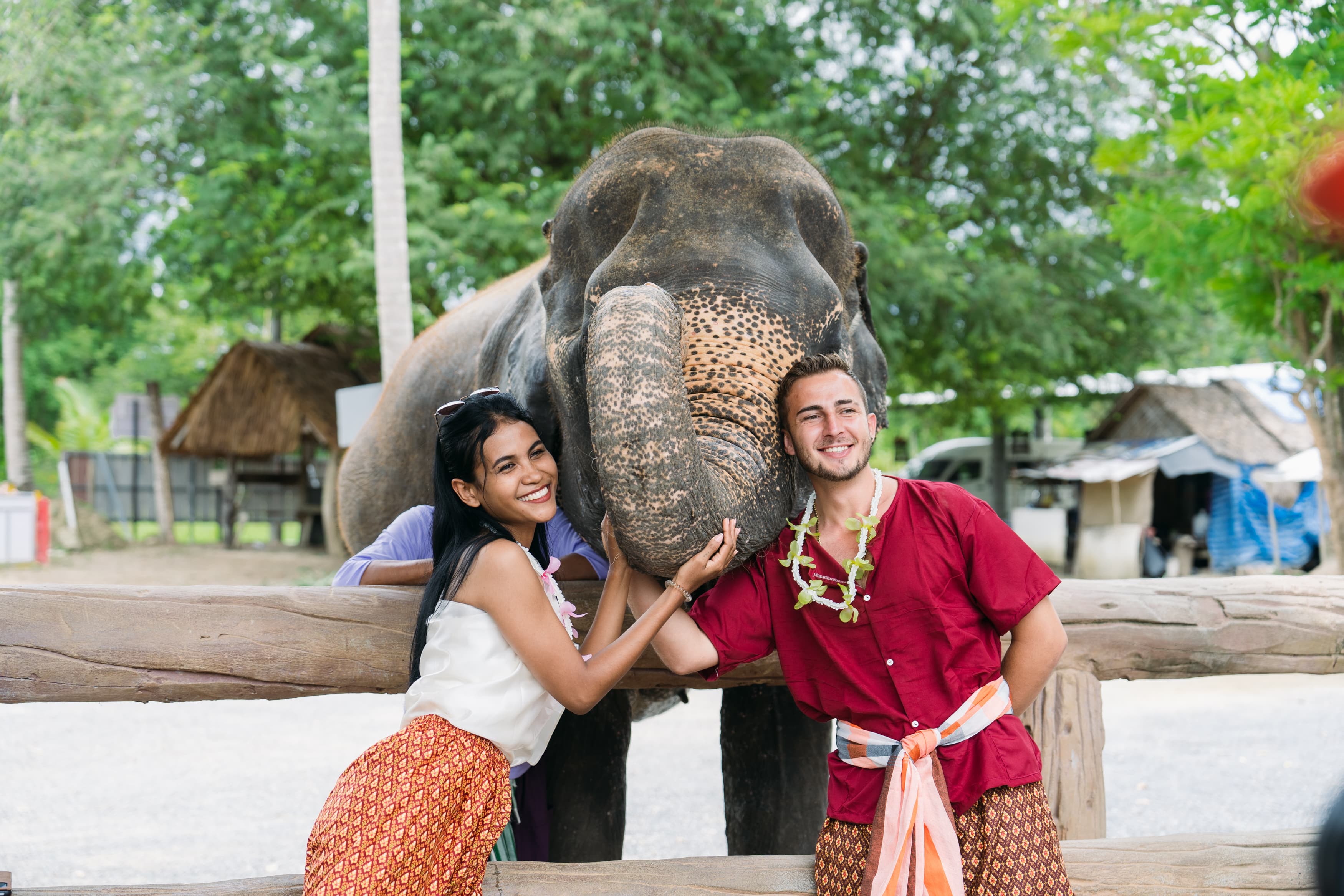 Half-Day Guided Elephant Educational Tour Half-Day Guided Elephant Educational Tour