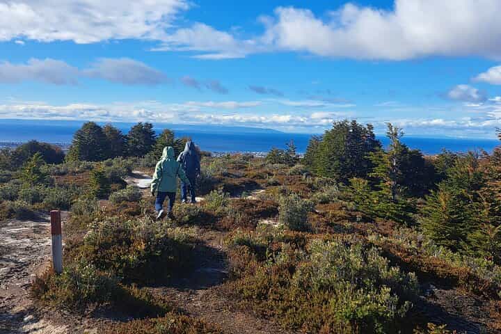 Punta Arenas in 1 Day - Guided hike through native Patagonian forest Punta Arenas in 1 Day - Guided hike through native Patagonian forest