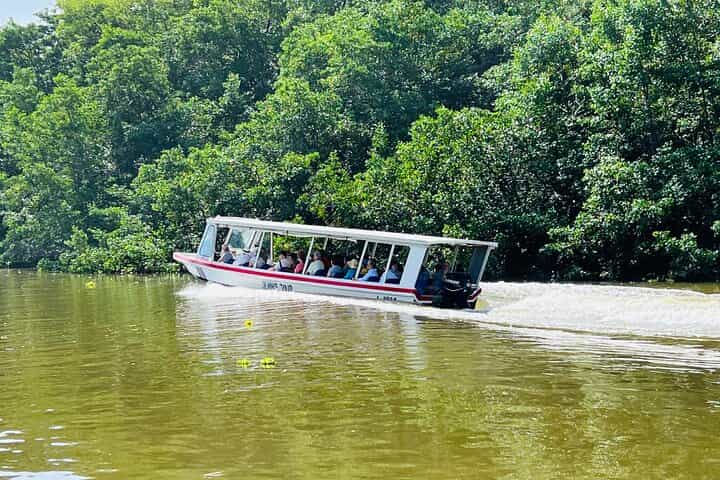 Half day Tortuguero Canal, Cahuita National Park & Puerto Limón Half day Tortuguero Canal, Cahuita National Park & Puerto Limón