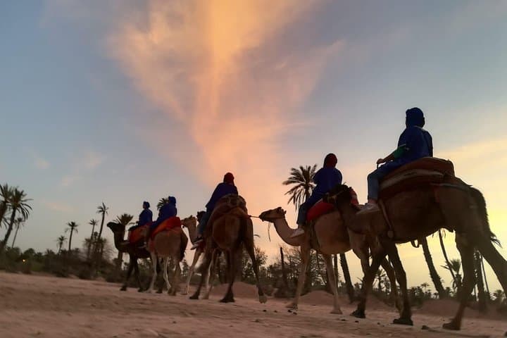 Marrakech Sunset Camel Ride in the Palmeraie — Romantic Evening Marrakech Sunset Camel Ride in the Palmeraie — Romantic Evening