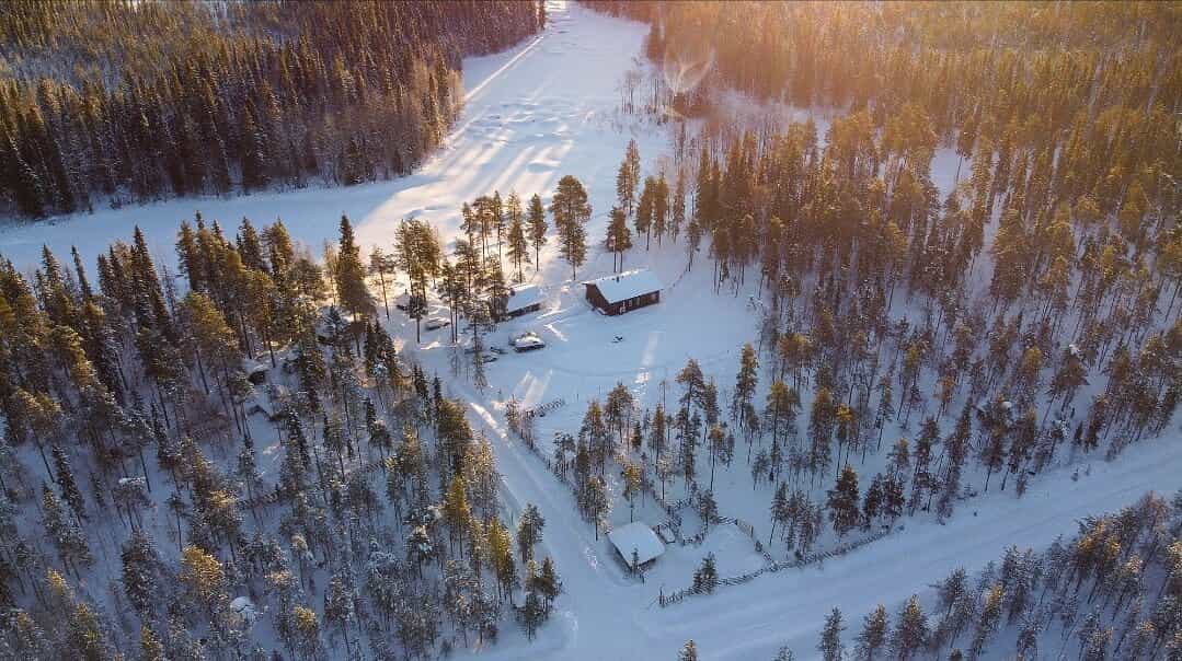 Meet & Feed Experience + Ice Fishing Trip by reindeer Meet & Feed Experience + Ice Fishing Trip by reindeer