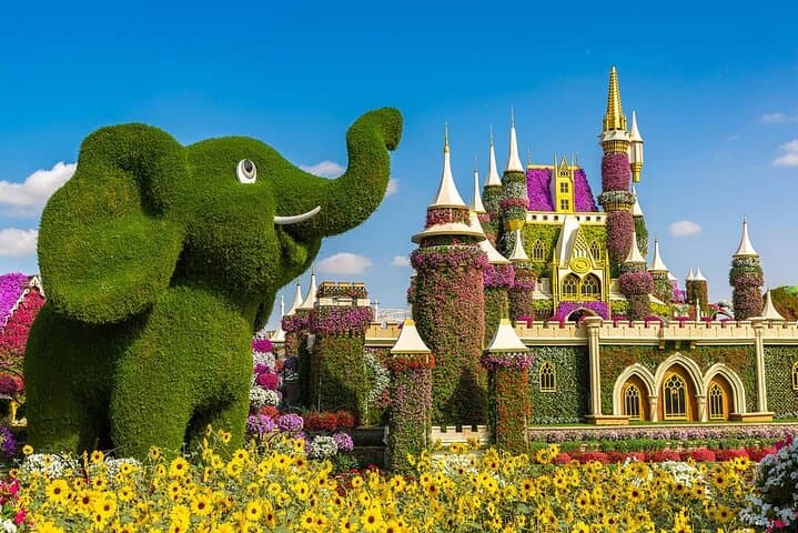 Miracle Garden Ticket Dubai with Shared Transfers Miracle Garden Ticket Dubai with Shared Transfers