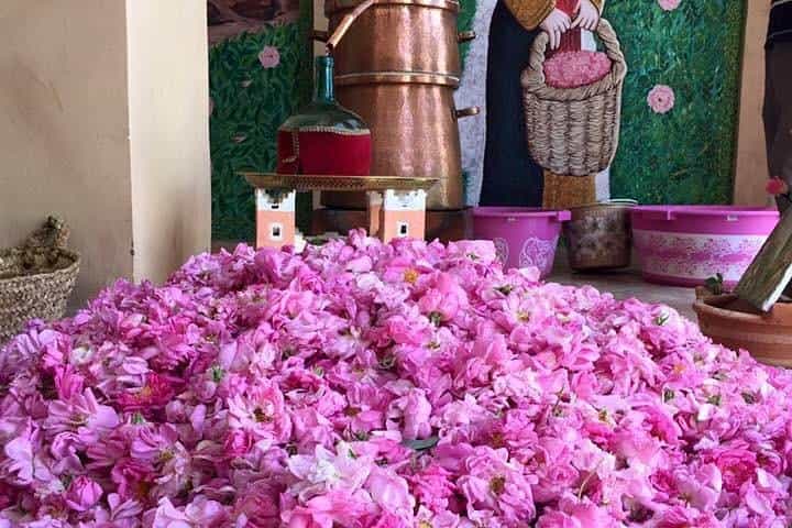 Casablanca in 11 Days - Hassan II Mosque (Casablanca) Casablanca in 11 Days - Hassan II Mosque (Casablanca)