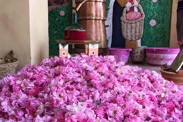 Casablanca in 11 Days for Couples - Hassan II Mosque (Casablanca) Casablanca in 11 Days for Couples - Hassan II Mosque (Casablanca)