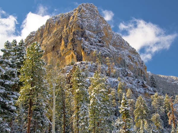 Mount Charleston — Easy Scenic Tour (Senior-friendly) Mount Charleston — Easy Scenic Tour (Senior-friendly)
