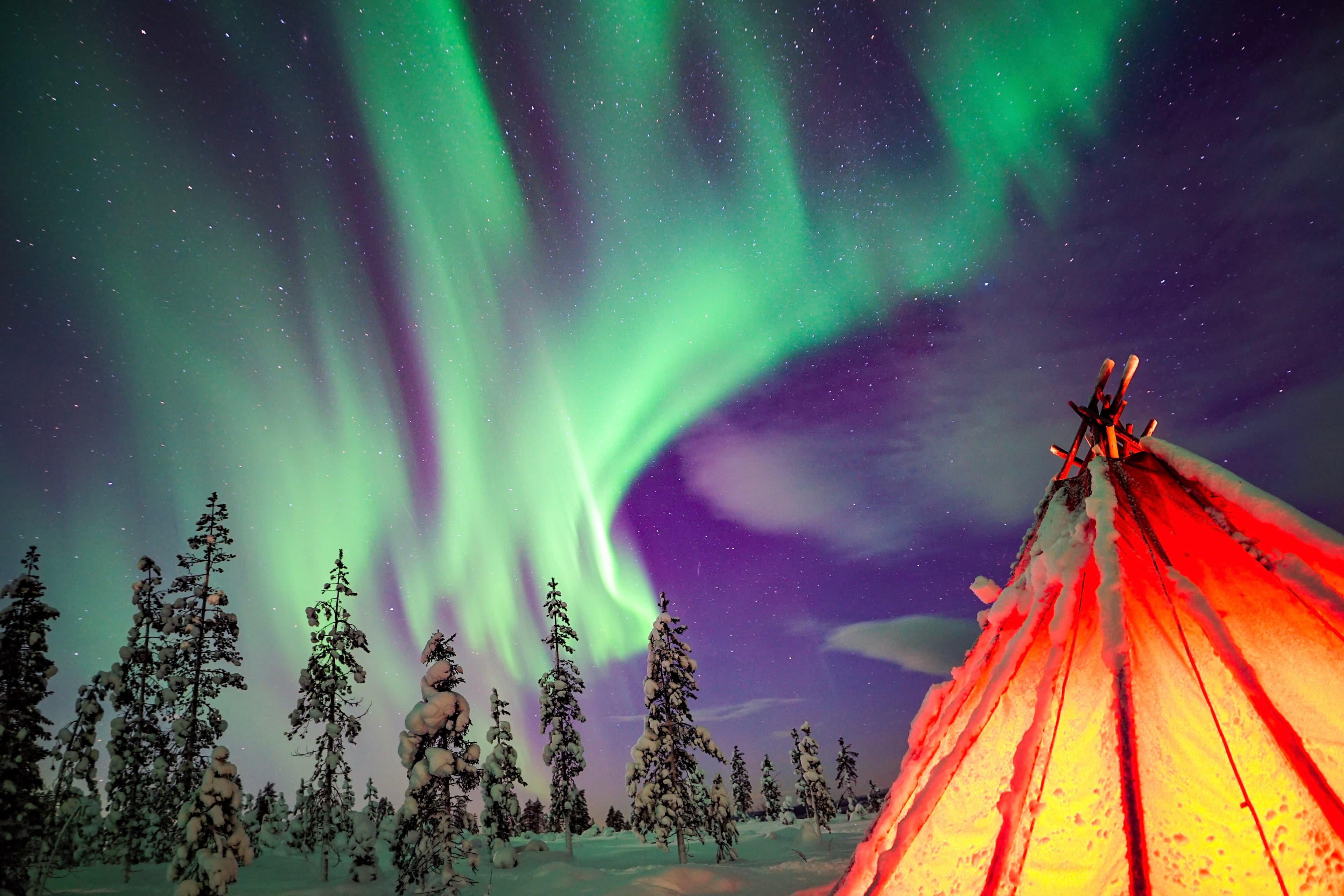 Northern Lights Wilderness Tour with Professional Camera Northern Lights Wilderness Tour with Professional Camera