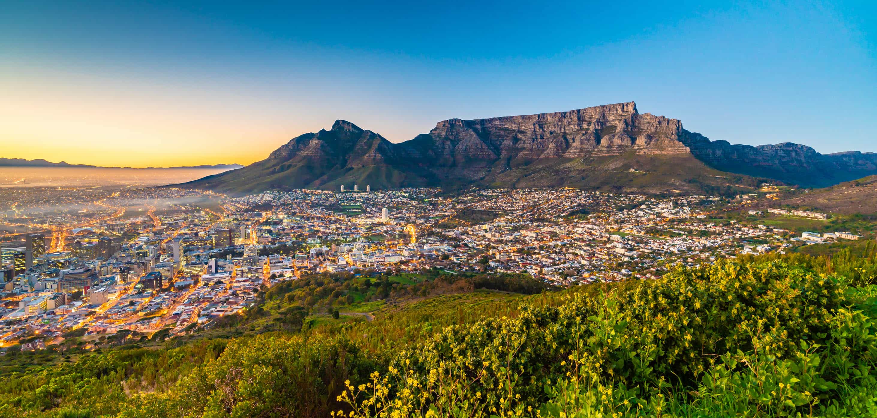 Private Day Tour to Cape Point, Penguins, Wine or Beer Tasting Private Day Tour to Cape Point, Penguins, Wine or Beer Tasting