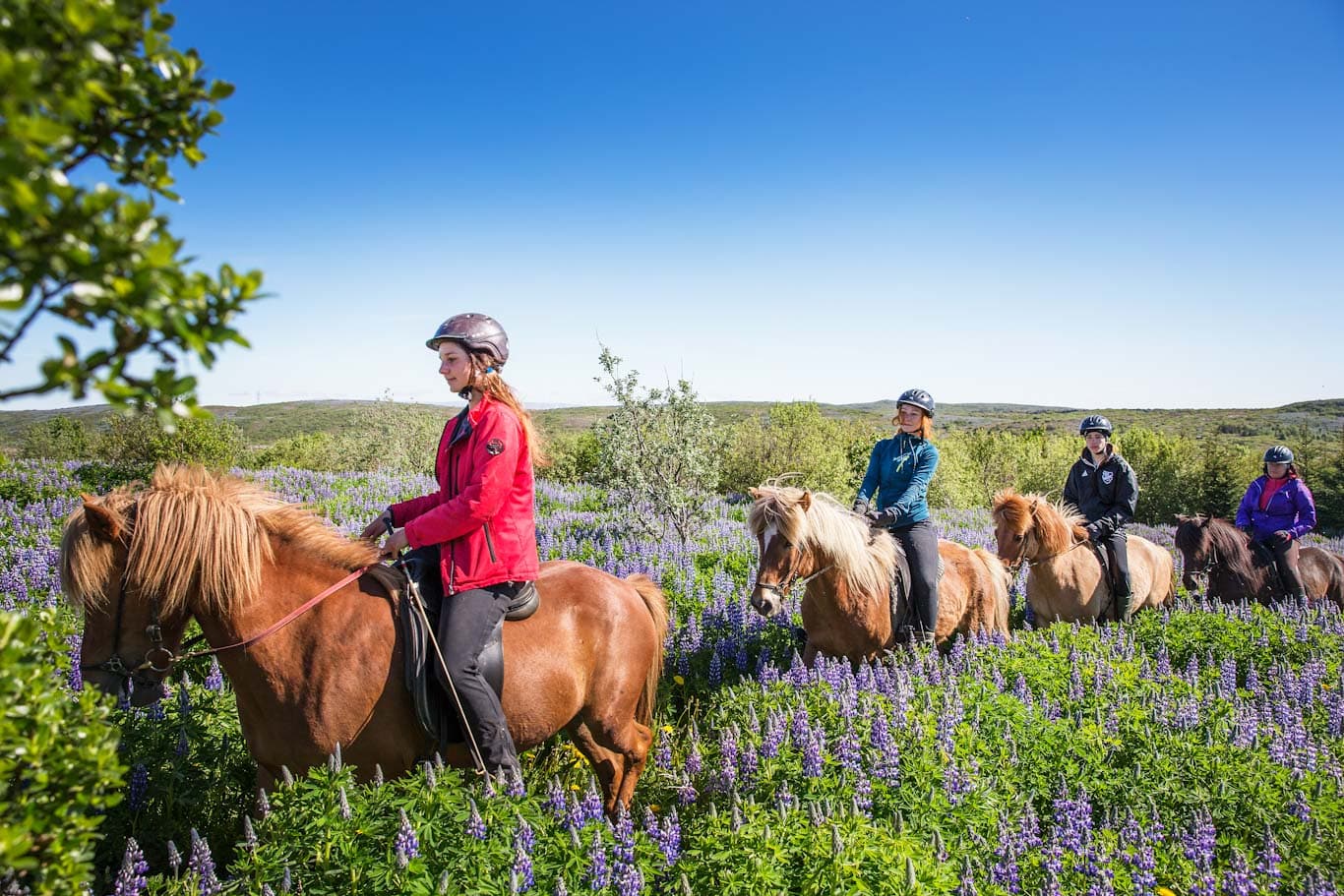 Private Horseback Riding Tour Private Horseback Riding Tour
