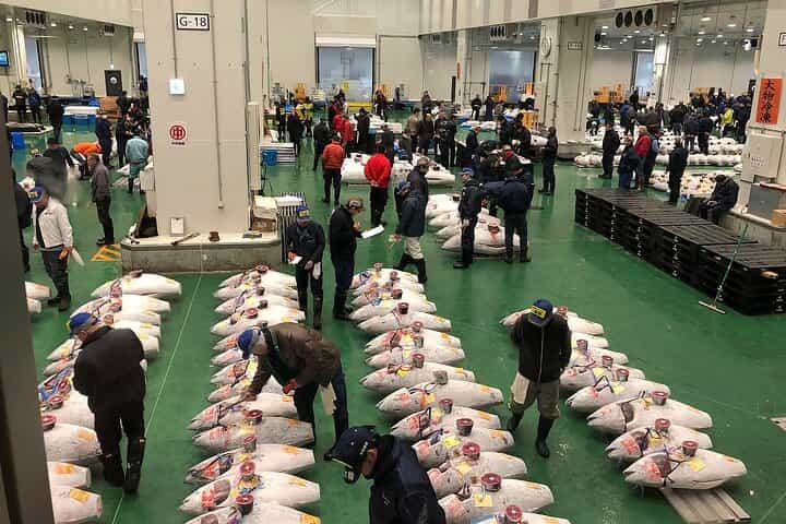 Private: Morning Market Adventure, Toyosu & Tsukiji with Tuna Auction Private: Morning Market Adventure, Toyosu & Tsukiji with Tuna Auction