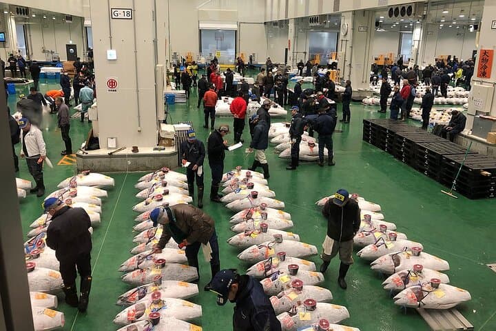Private: Morning Market Adventure, Toyosu & Tsukiji with Tuna Auction Private: Morning Market Adventure, Toyosu & Tsukiji with Tuna Auction
