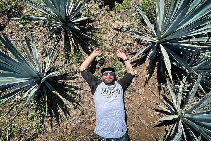 Private One Day Adventure Tour in Tequila and La Fortaleza Distillery Private One Day Adventure Tour in Tequila and La Fortaleza Distillery