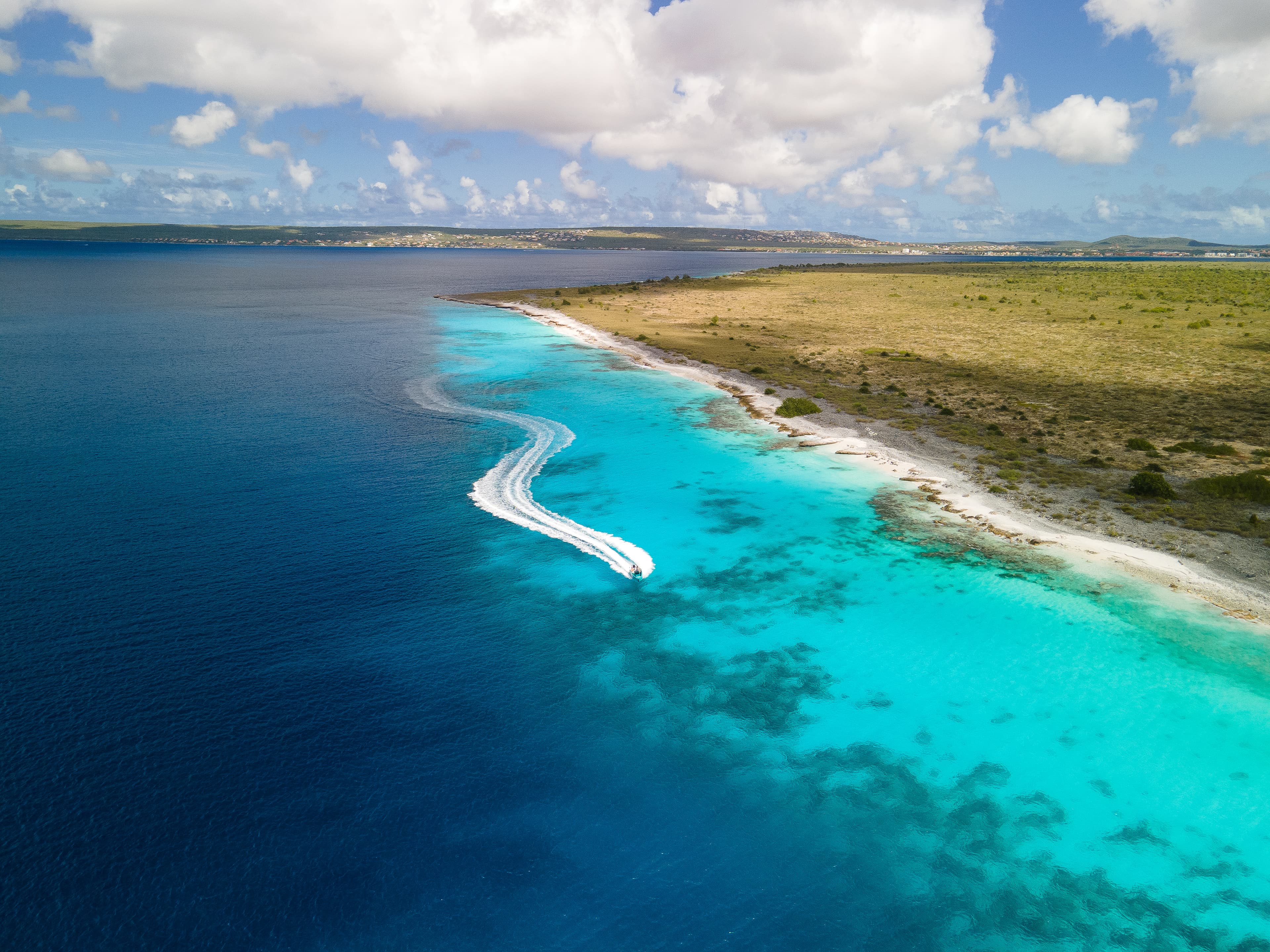 Kralendijk in 1 Day for Friends - Private 4-hour tour aboard the REVOLVE tow-boat Kralendijk in 1 Day for Friends - Private 4-hour tour aboard the REVOLVE tow-boat