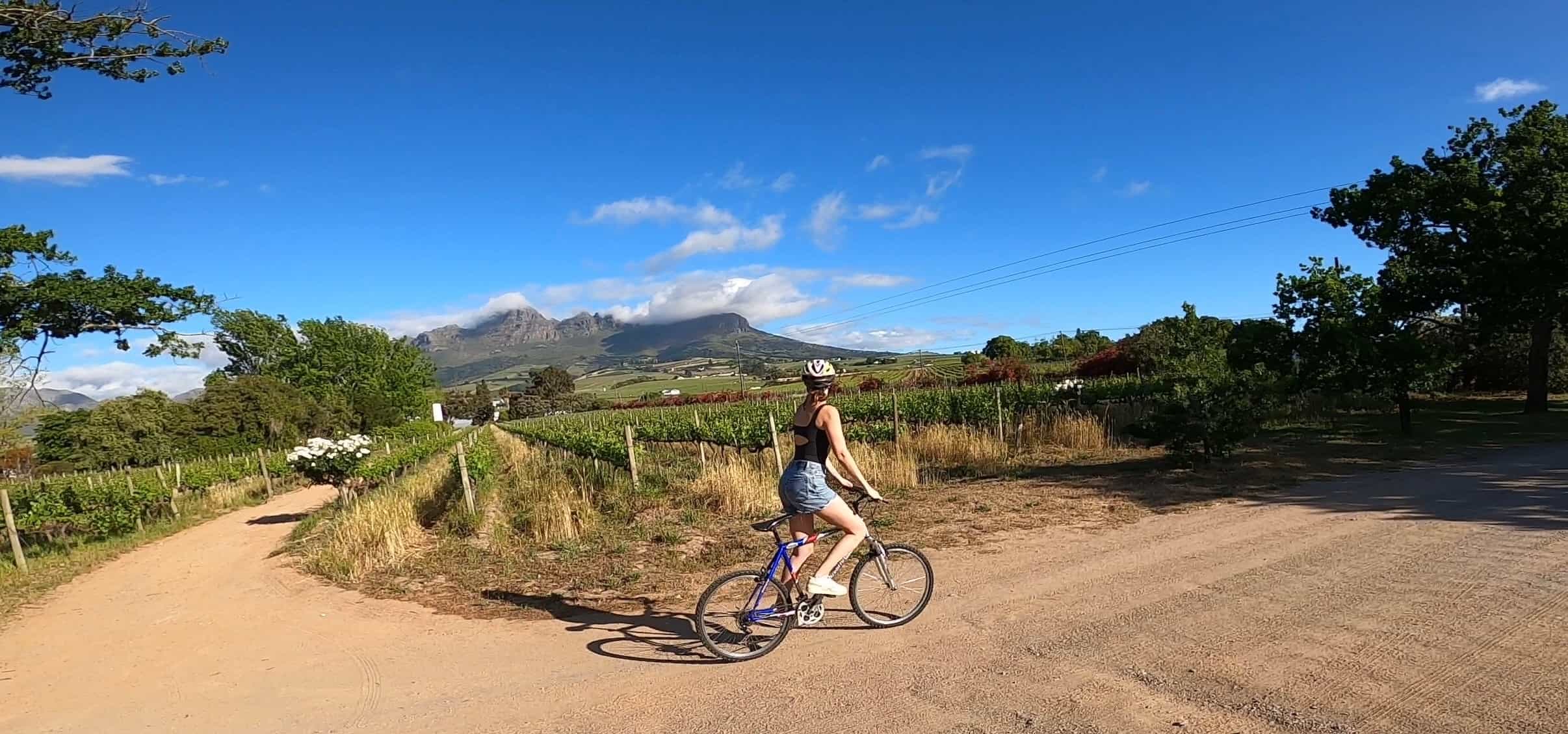 Self Guided Bike & Wine Tastings in Stellenbosch Golden Triangle Self Guided Bike & Wine Tastings in Stellenbosch Golden Triangle