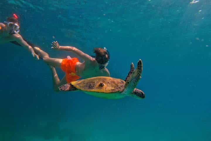 Dubai in 1 Days - Snorkel from a luxury dive boat with an experienced guide Dubai in 1 Days - Snorkel from a luxury dive boat with an experienced guide