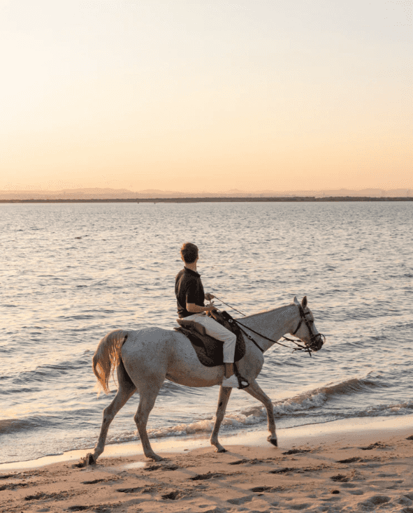 Sunset Beach Horseback Ride — Alcochete (Couples) Sunset Beach Horseback Ride — Alcochete (Couples)