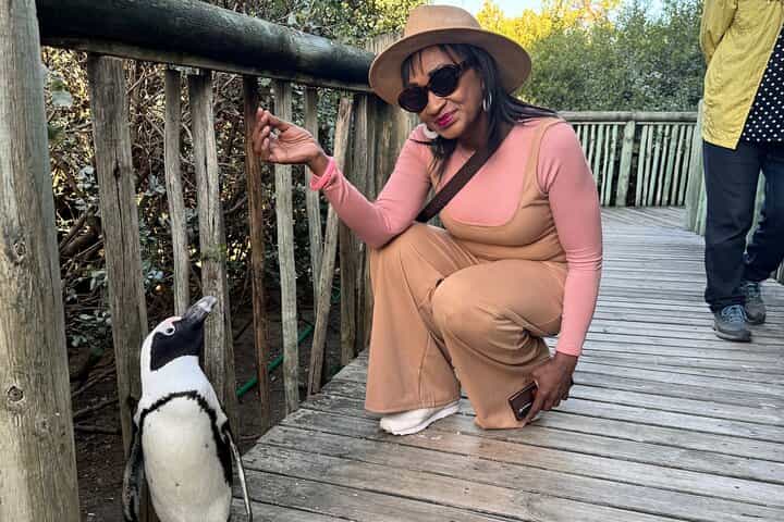 Table Mountain and Penguins Half Day Shared Group Tour Table Mountain and Penguins Half Day Shared Group Tour