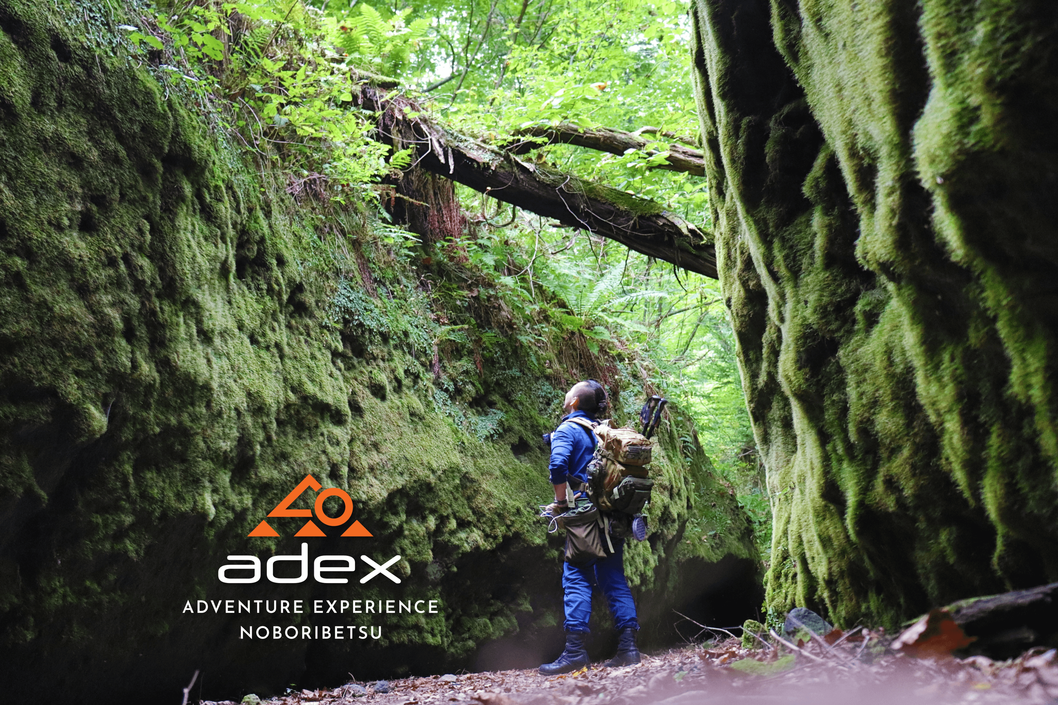 The Emerald Corridor【Level 1】 – Gentle Walk Through Tarumae’s Mossy Wonderland The Emerald Corridor【Level 1】 – Gentle Walk Through Tarumae’s Mossy Wonderland