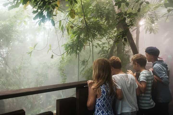 Universeum Adventure with Pickup — Family Day in Gothenburg Universeum Adventure with Pickup — Family Day in Gothenburg