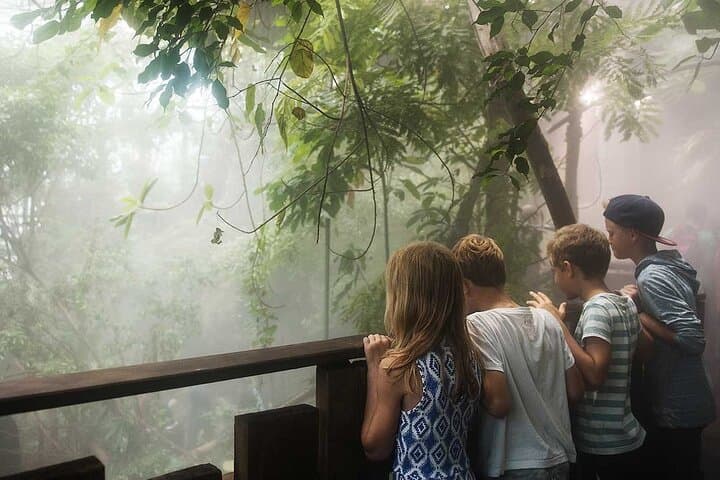 Universeum Adventure with Pickup — Family Day in Gothenburg Universeum Adventure with Pickup — Family Day in Gothenburg