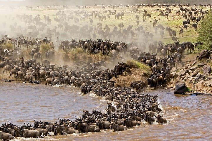 Wildebeest Migration in Masai Mara + Naivasha Sightseeing — 4-Day Private Safari Wildebeest Migration in Masai Mara + Naivasha Sightseeing — 4-Day Private Safari